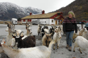 Fottur, med geiter - Man kan gå kulturstien som ligger opp fjellet ved sida av Turlidfossen på vei til utsiktspunket Stegastein i Aurland. Det er også fint å gå opp Aurlandsdalen. Du kan overnatte på Sinjarheim og på Østerbø, eller selvsagt ute i din egen sovepose.